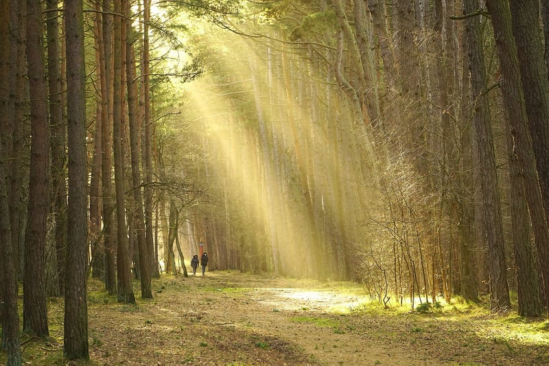 Nature Walk